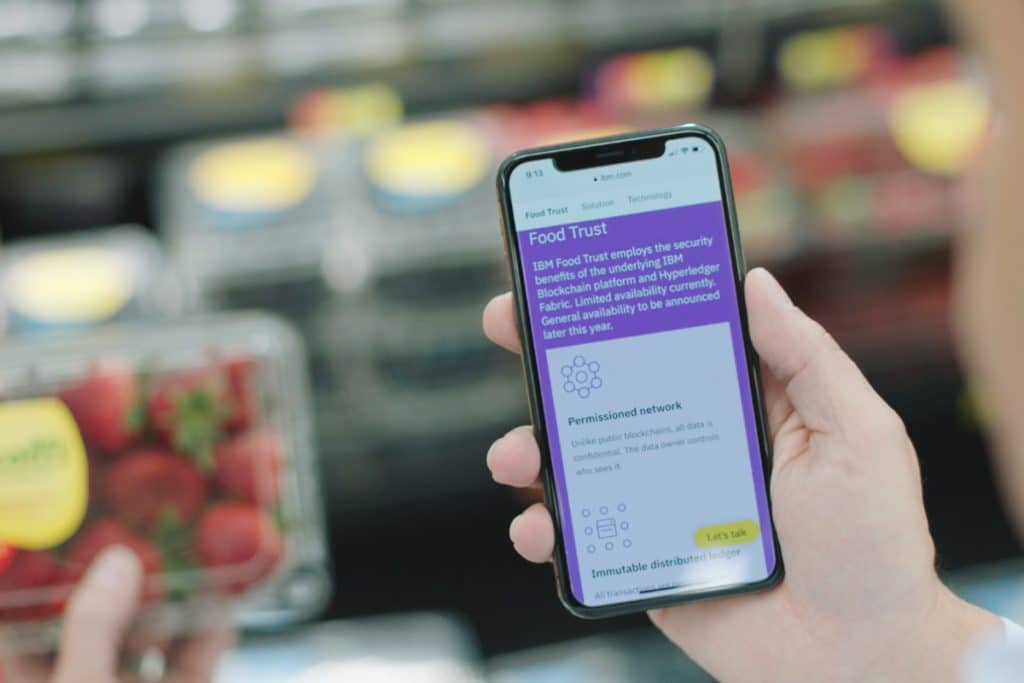 IBM lança programa piloto de rastreabilidade de frutos do mar com Blockchain