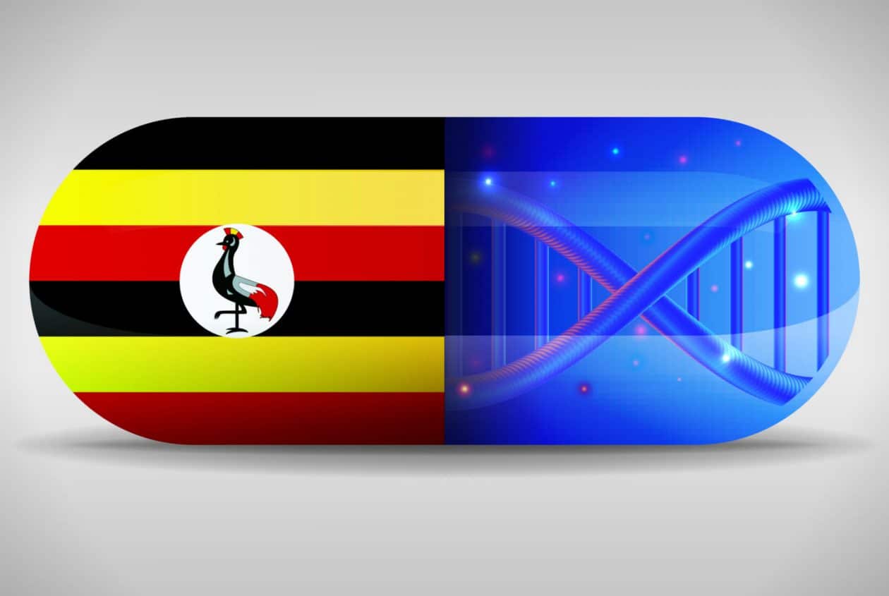 Presidente de Uganda vai usar Blockchain para Combater Medicamentos Falsificados