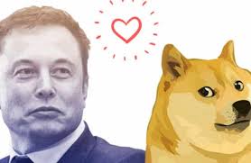 Elon Musk confirma novamente Dogecoin como a 'melhor moeda'