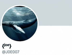 Um comerciante popular de Bitcoin perdeu US$ 21 milhões.