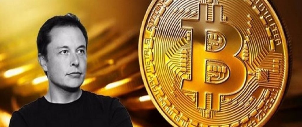 Elon Musk será o próximo a comprar Bitcoin depois do CEO do Twitter?