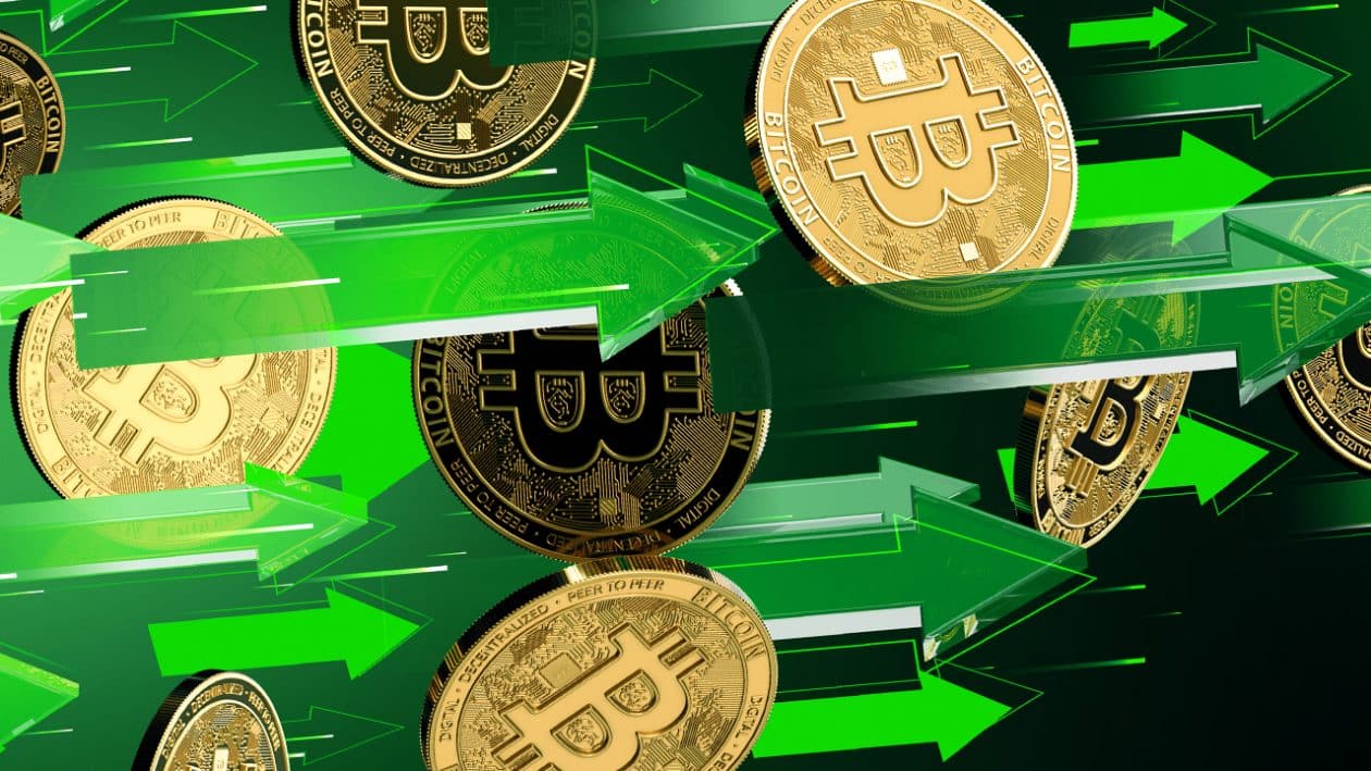 Família investe tudo em Bitcoin e espera alta de US$ 200.000 até 2022