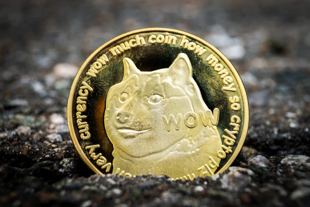 Elon Musk não bombou Dogecoin tanto quanto SHIB