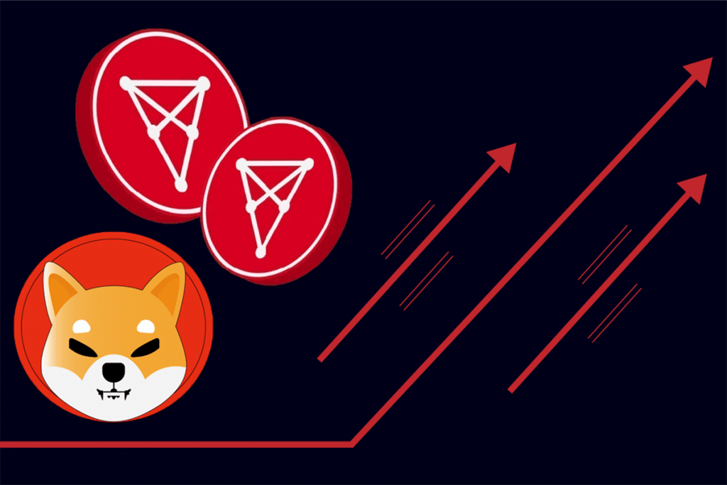 Shiba Inu e Chiliz saltam 33% e 26%