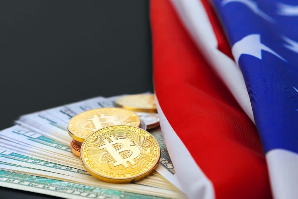 11% dos jovens americanos investiram em criptomoedas na pandemia
