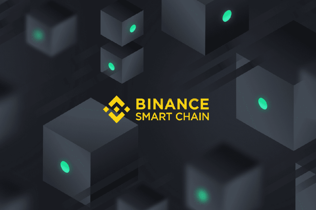 Binance lança fundo para desenvolver ecossistema BSC