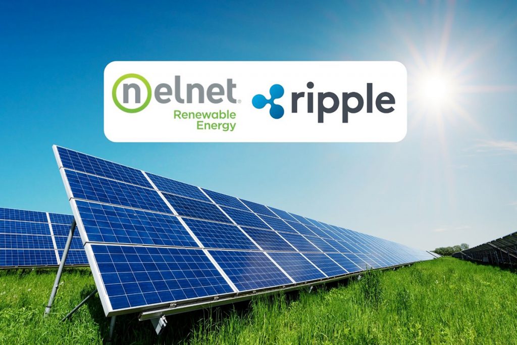 Ripple e Nelnet lançam fundo para criptomoedas de carbono negativo