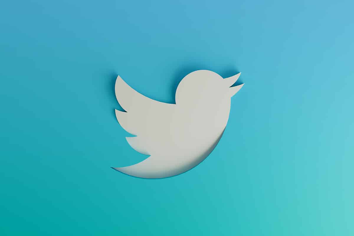 Twitter fecha escritórios, funcionários se demitem e usuários buscam descentralização