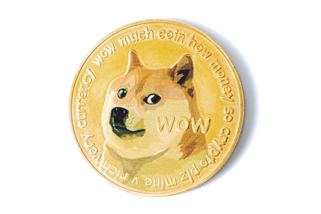 Cachorro por trás do memecoin DOGE está gravemente doente