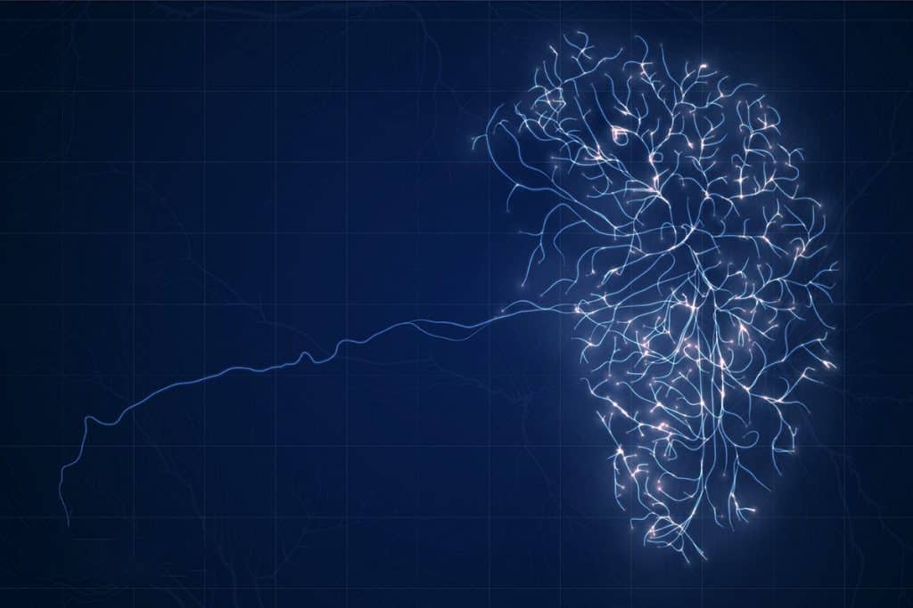 ChatGPT passa no exame de neurologia