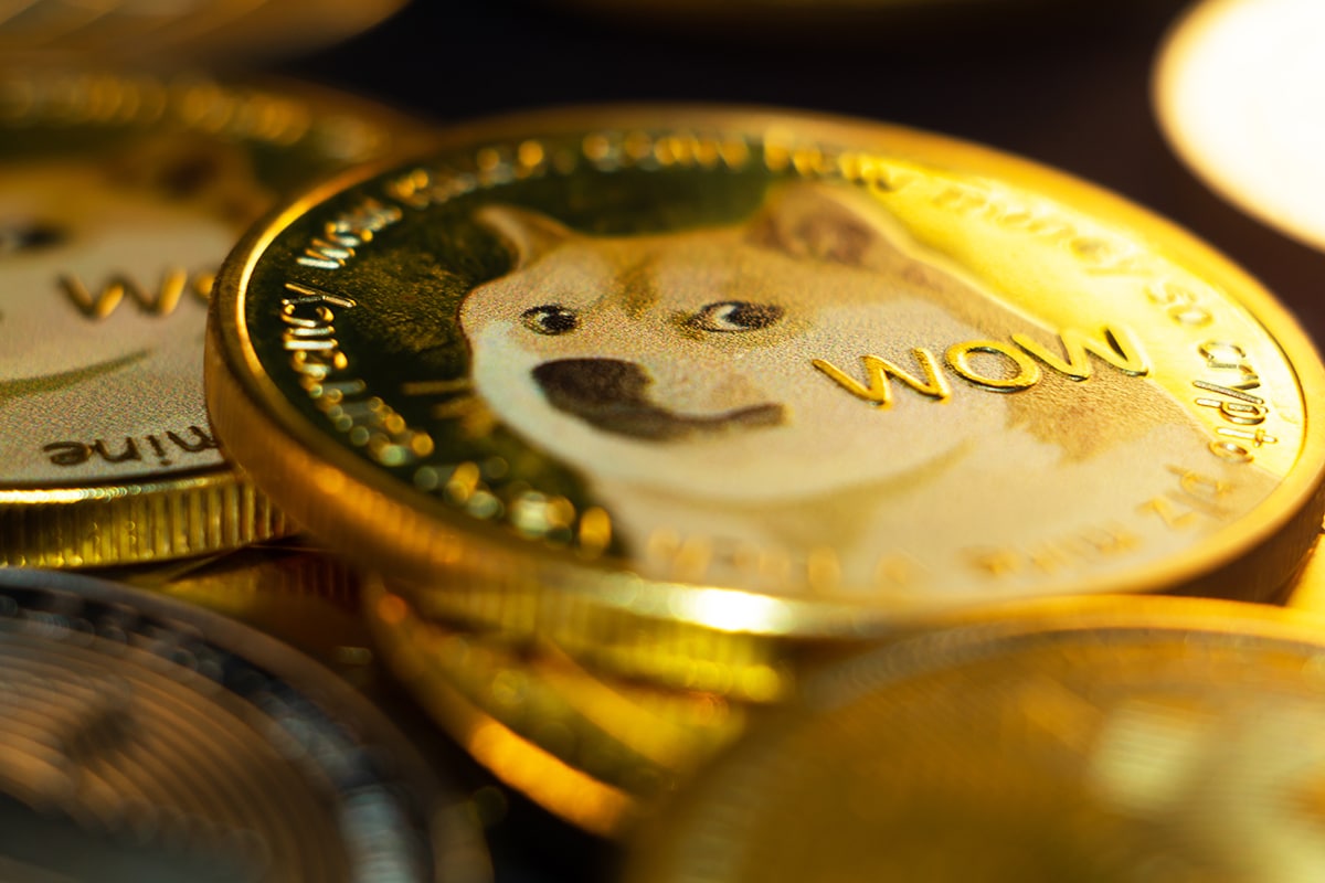 Memecoins – Gatos x Cães