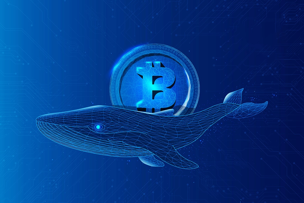 Baleias Bitcoin acumulam BTC como jamais visto antes