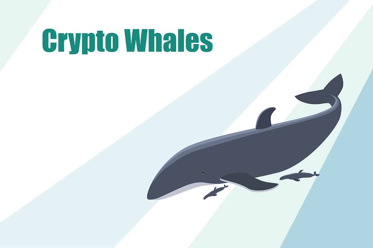 Baleias Bitcoin estão acumulando BTC com desconto