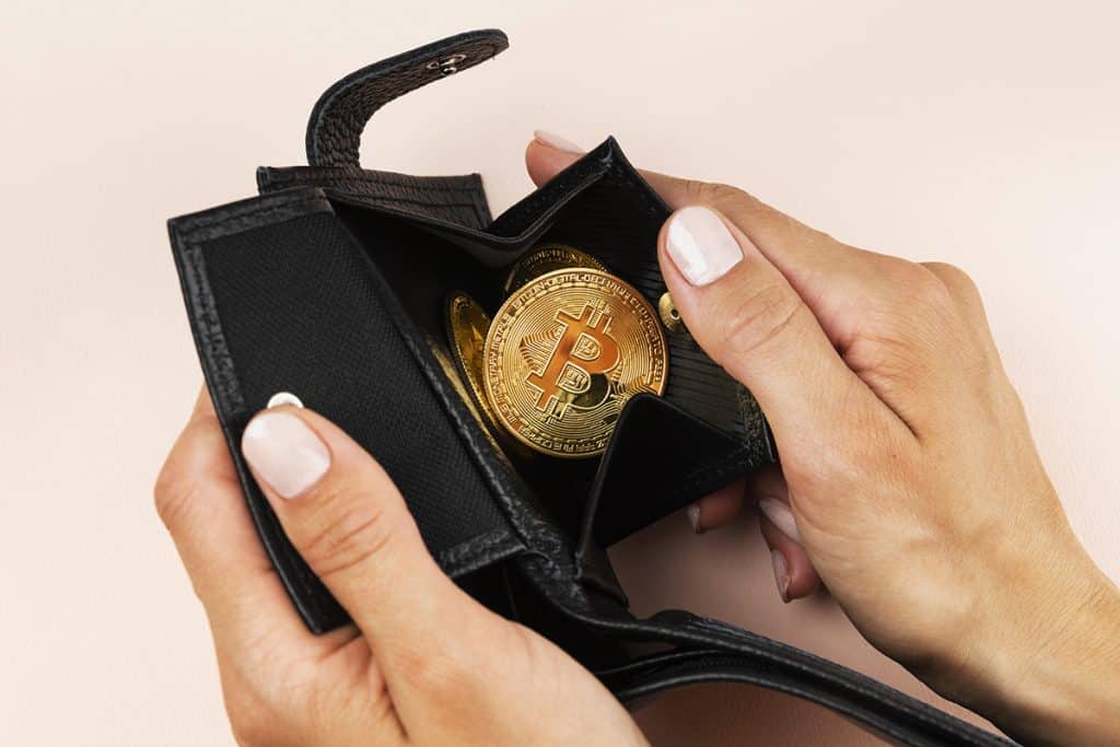 Taxa de propriedade de criptomoedas não está aumentando...
