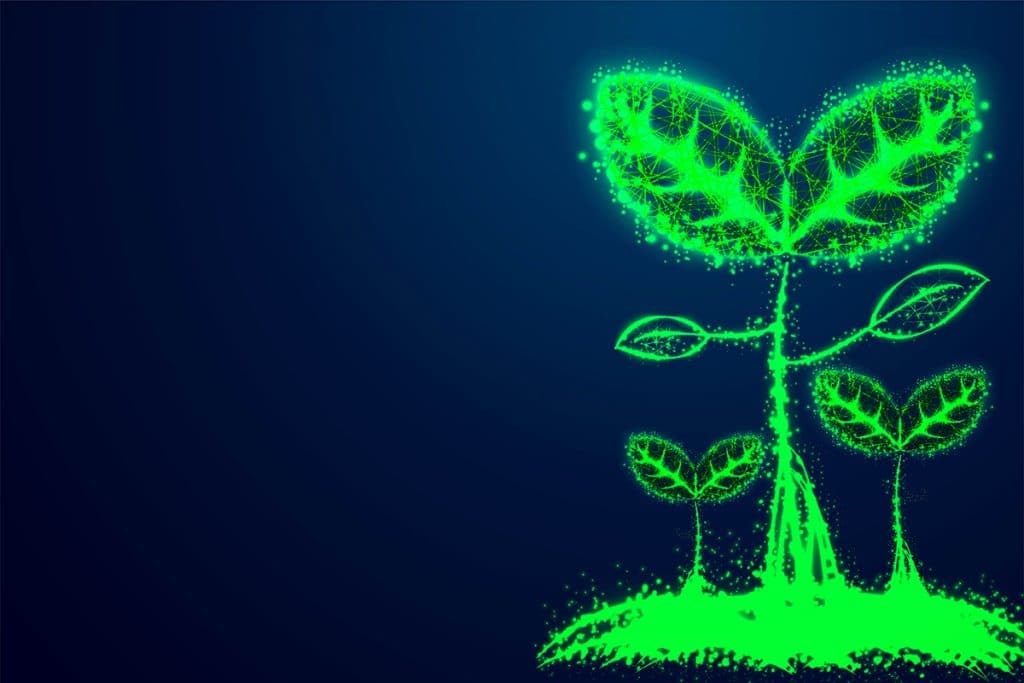 Como o blockchain está remodelando a agricultura