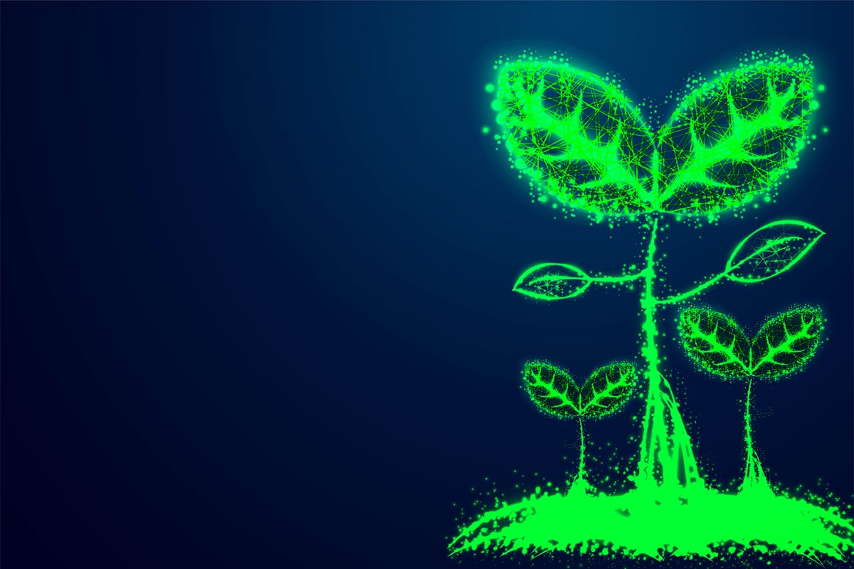 Como o blockchain está remodelando a agricultura