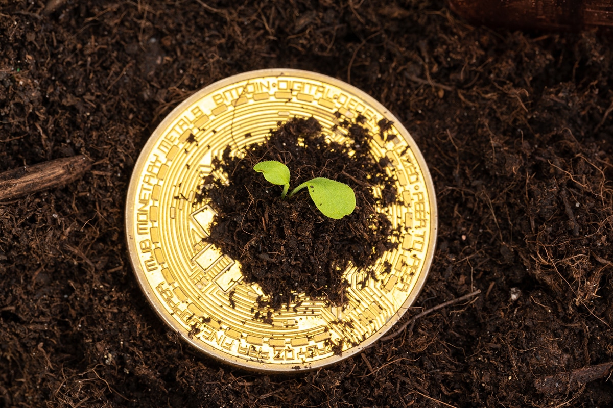 Mineradoras de Bitcoin buscam energia limpa