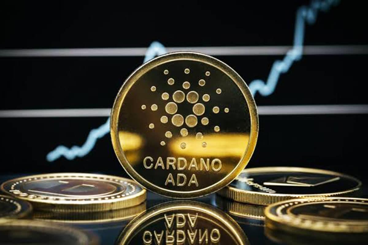 Universidade de Brasília anuncia parceria com a Cardano