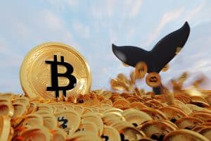 Baleias e golfinhos travam compras e acendem alerta no Bitcoin