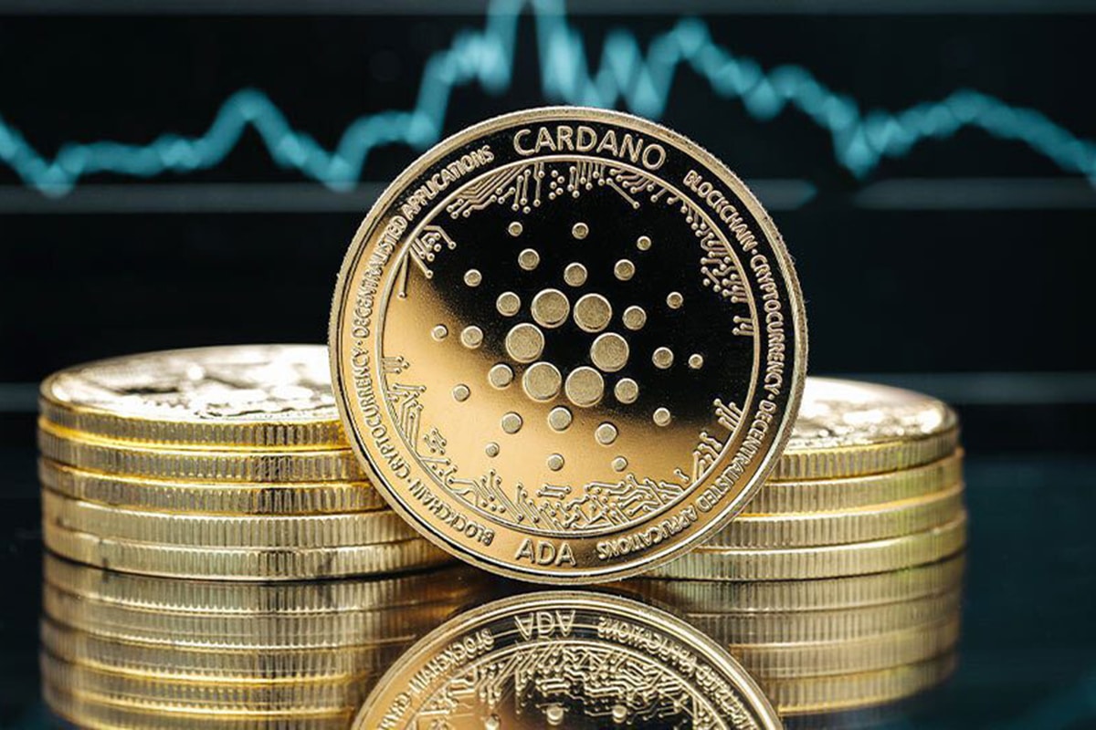 IOG, da Cardano, alerta para golpe em canal do YouTube